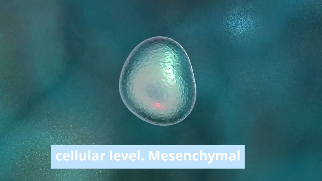 Stem Cell Treatment for Congestive Heart Failure – How It Works
