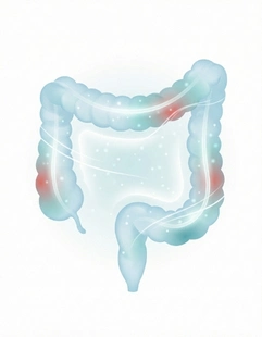Medical illustration of mesenchymal stem cells supporting gut lining repair in ulcerative colitis