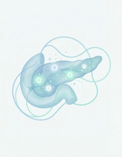 What Is Stem Cell Therapy for Type 1 Diabetes