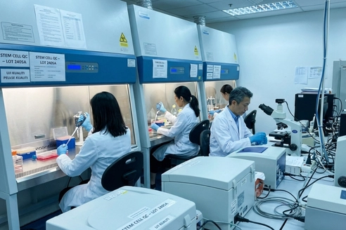 Mesenchymal stem cell treatment for liver disease as a modern regenerative medicine option