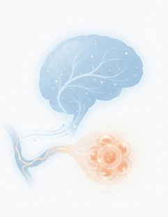 Mesenchymal stem cells used to support brain healing and reduce inflammation