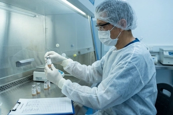 Umbilical cord mesenchymal stem cell