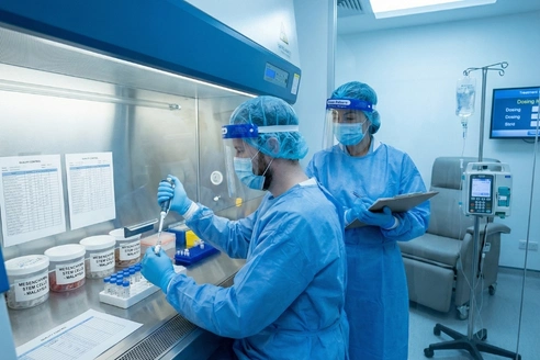 Mesenchymal wjmsc therapy for MS supporting immune balance and nerve repair