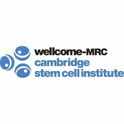 Cambridge Stem Cell Institute Cambridge University