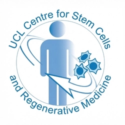 Centre for Stem Cells and Regenerative Medicine Universit College London