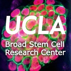 The Broad Stem Cell Research Center University of California_UCLA