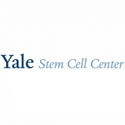 Yale Stem Cell Center Yale University