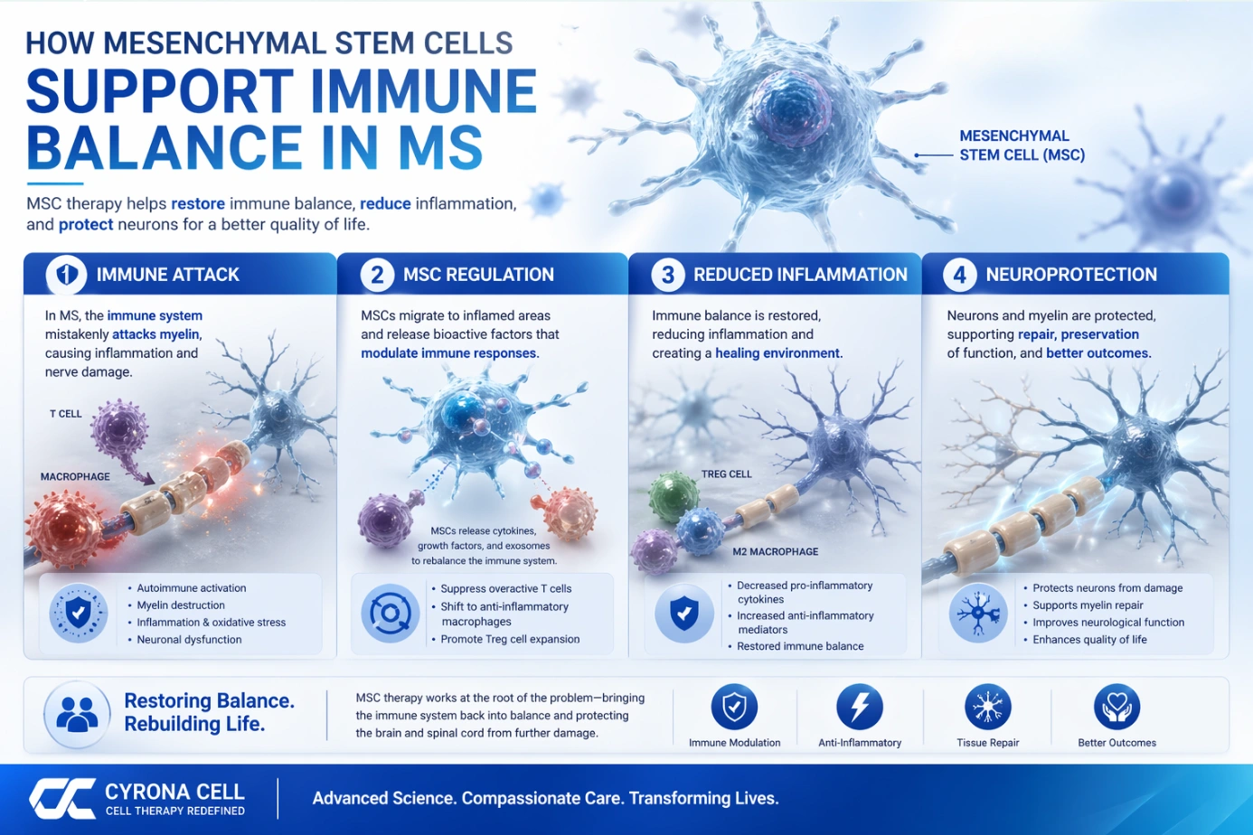 Understanding Multiple Sclerosis MS and Its Immune Impact