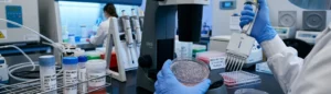 Stem Cell Therapy For Inflammatory Bowel Disease-Where It Fits Alongside Biologics and Steroids