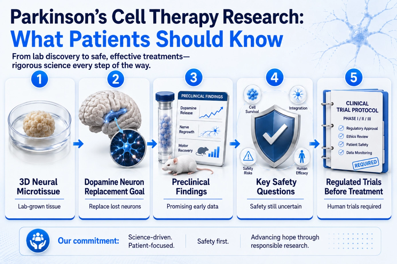 What Makes This Research Different