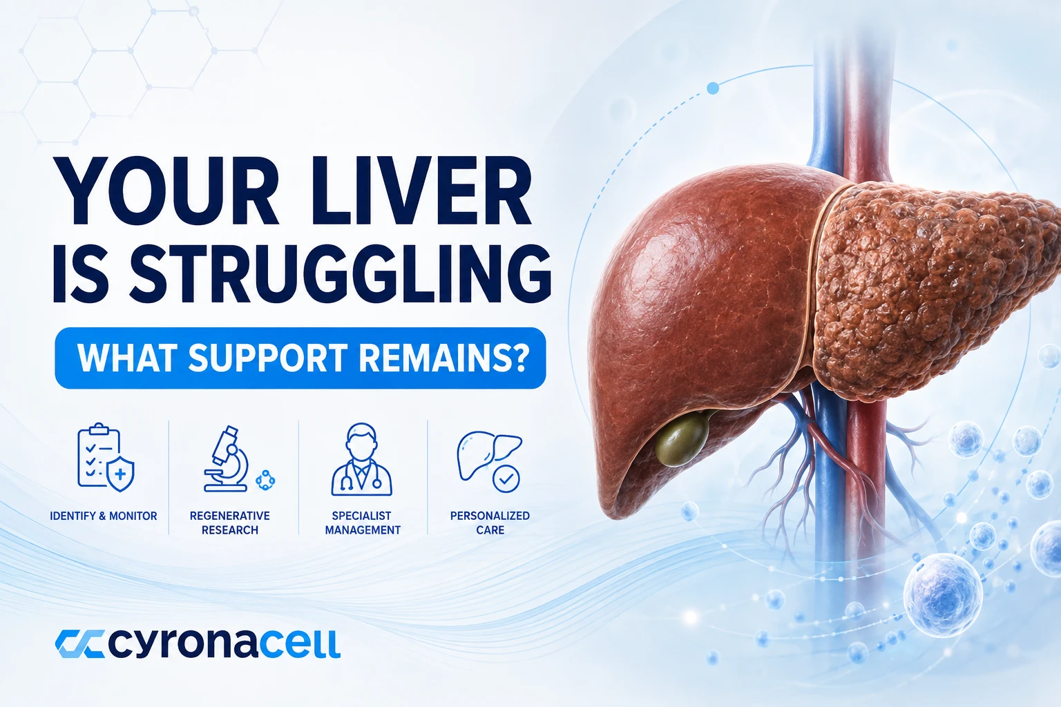 Stem Cell Therapy For Liver Disease Supportive Option for Cirrhosis and Chronic Hepatitis