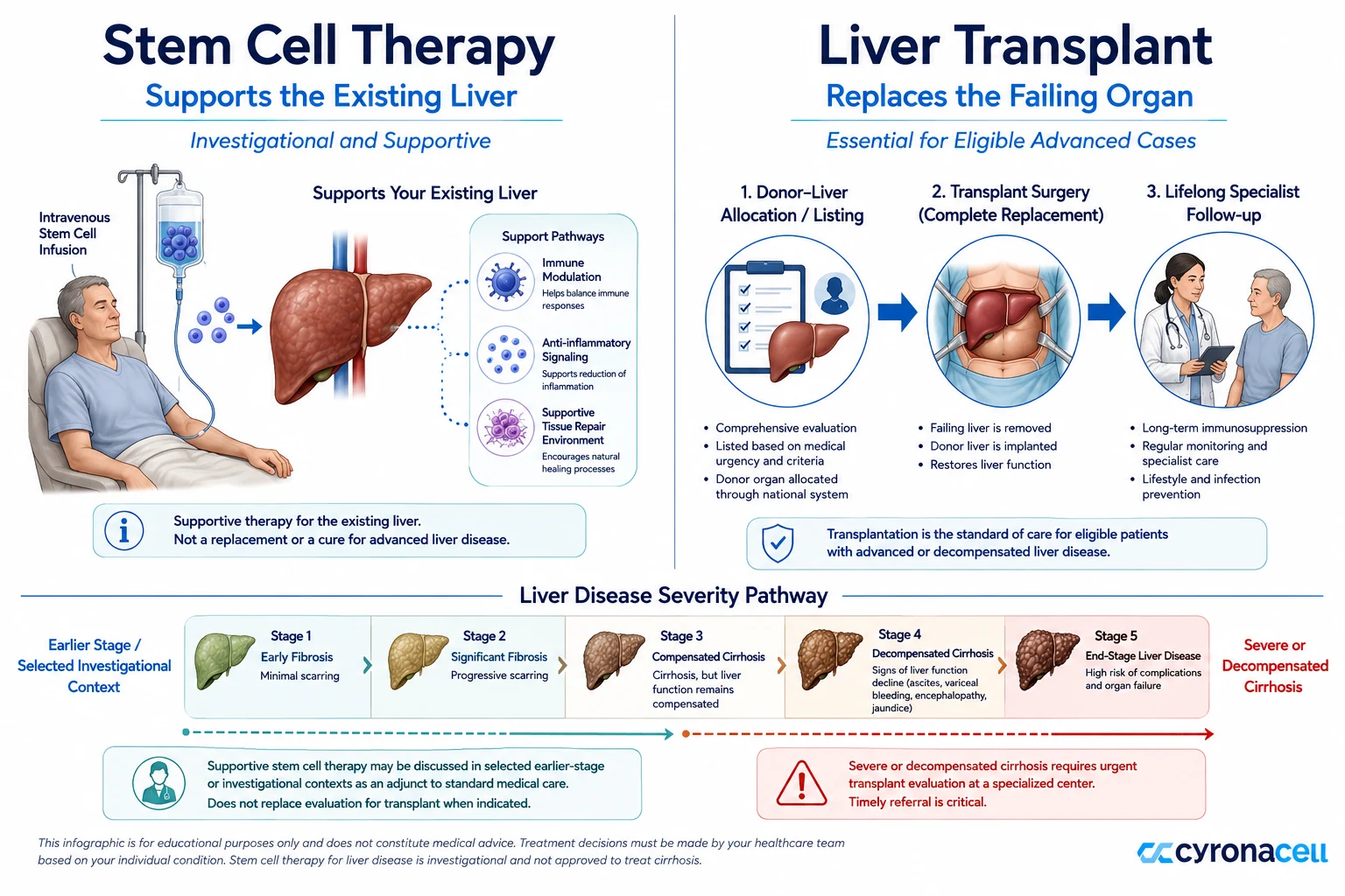 Stem Cell Therapy vs Liver Transplant