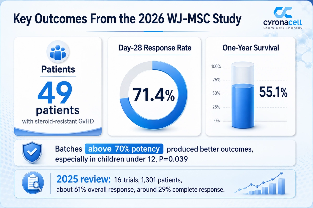 What the 2026 Wharton’s Jelly MSC Study Found