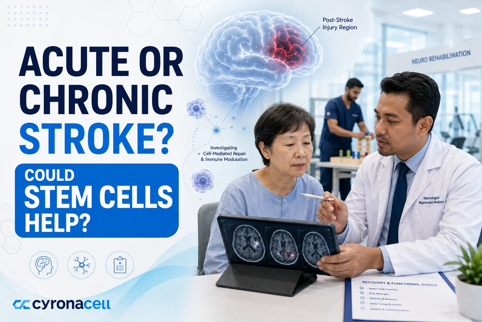 acute-or-chronic-stroke-could-stem-cells-help