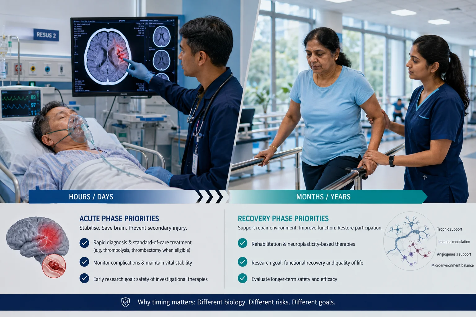 stem-cell-therapy-for-stroke-why-timing-matters