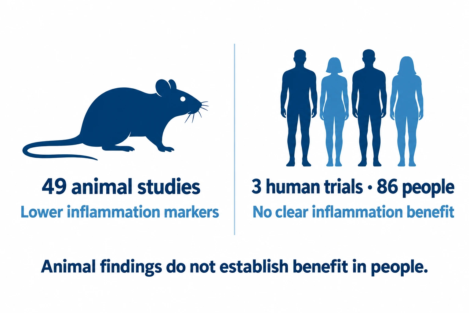 what-did-the-2025-review-find-in-animals-and-in-people