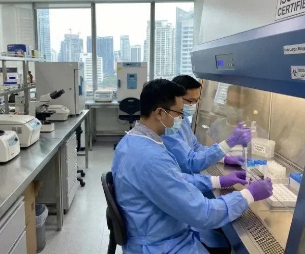 Doctor-led stem cell therapy